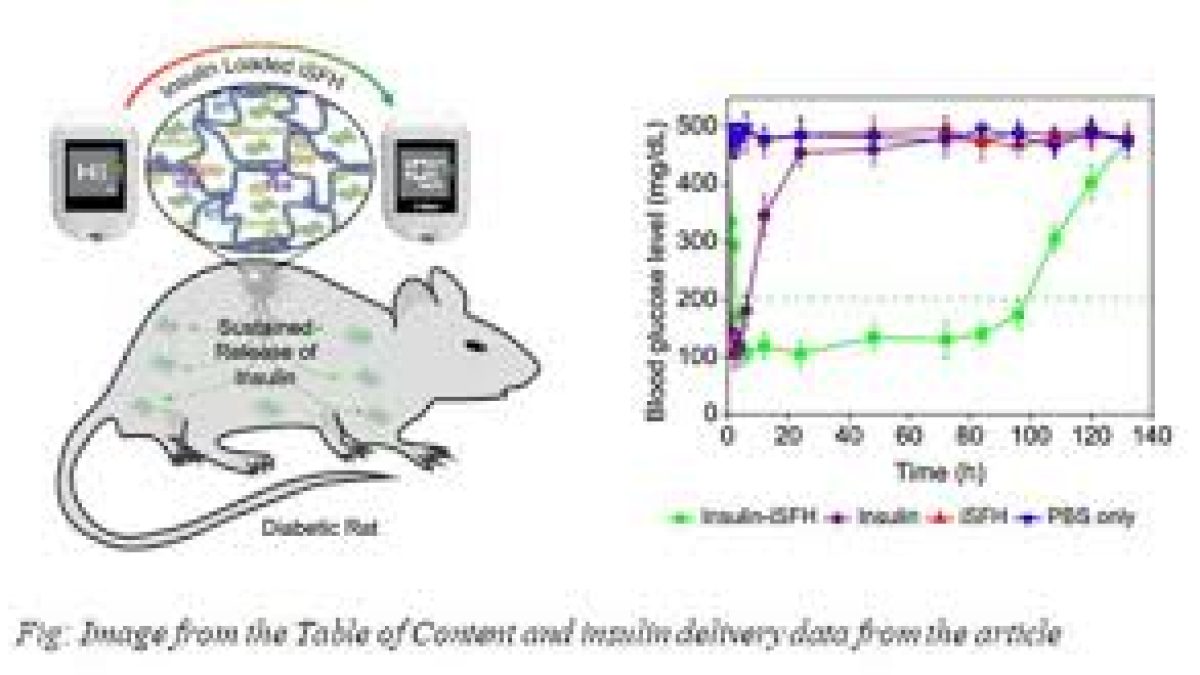JNCASR develop injectable Silk Fibroin-based hydrogel
