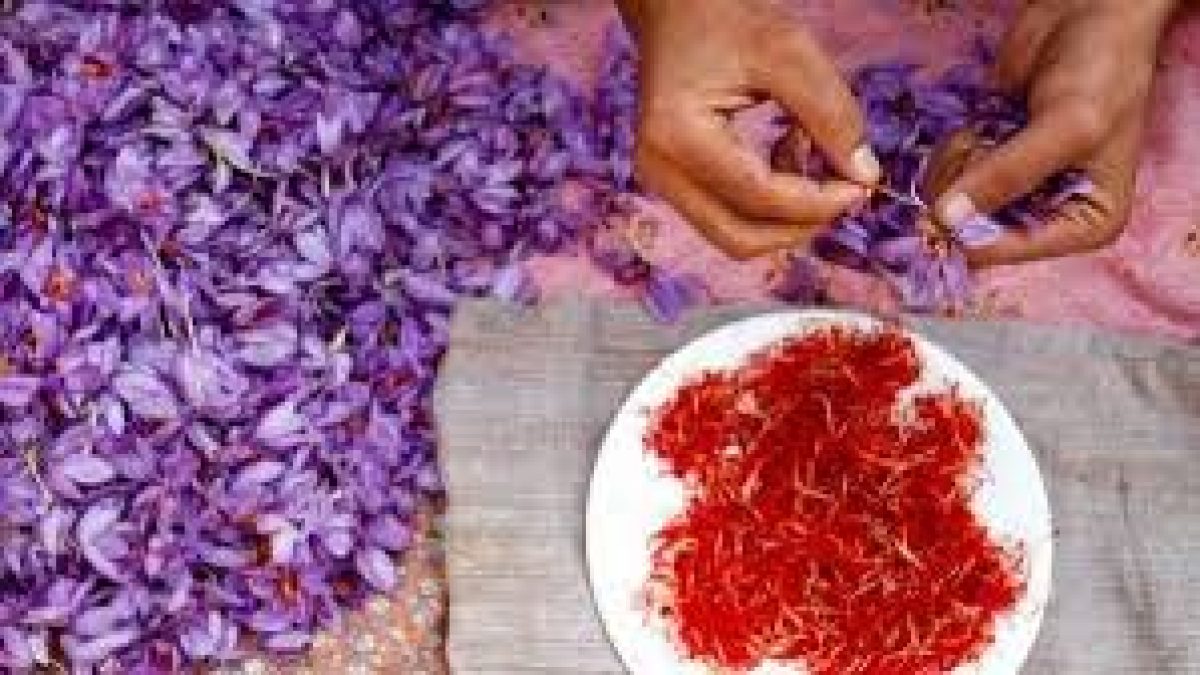 Kashmiri saffron received GI tag