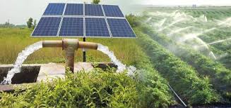 Madhya Pradesh Chief Minister Solar Pump Scheme