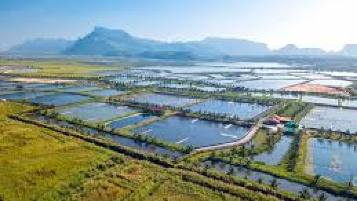 Magel Tyala Shettale Farm Pond Subsidy Scheme