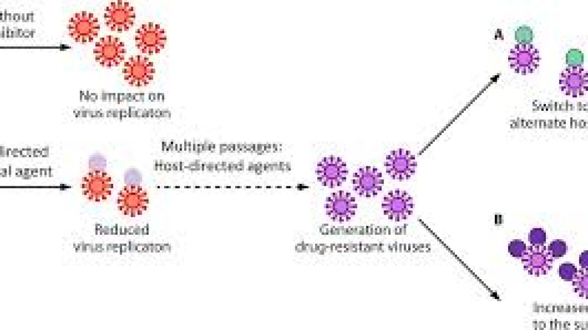NCVTC to develop host-directed antivirals for COVID-19 disease