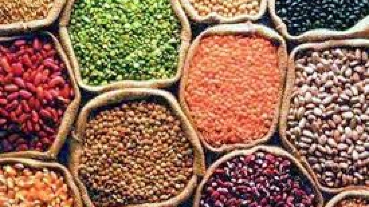 Nafed procures pulses, oilseeds at support price amid lockdown