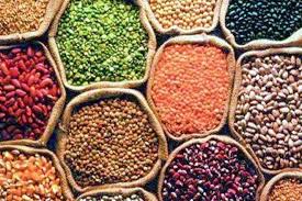 Nafed procures pulses, oilseeds at support price amid lockdown