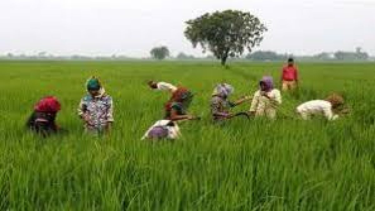 Odisha Balaram Scheme