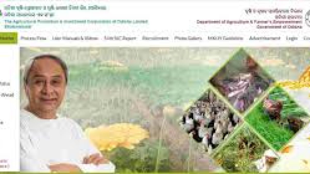 Odisha Mukhyamantri Krushi Udyog Yojana