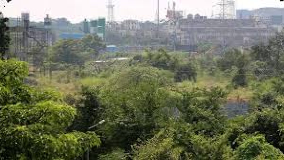 Politics behind Uddhav govt decision to move contentious shed out of Aarey
