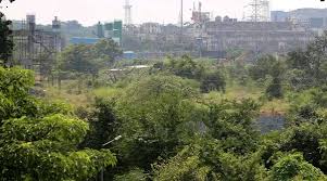 Politics behind Uddhav govt decision to move contentious shed out of Aarey