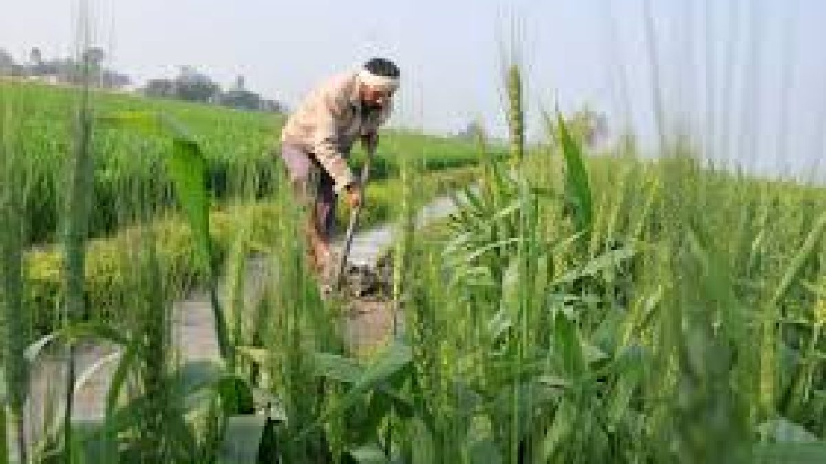 President promulgates 2 Ordinances to boost rural India and agriculture