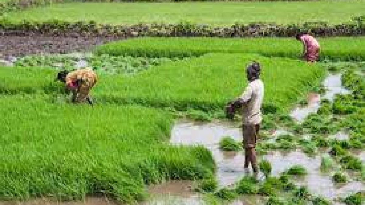 Punjab Kisan Credit Limit Scheme