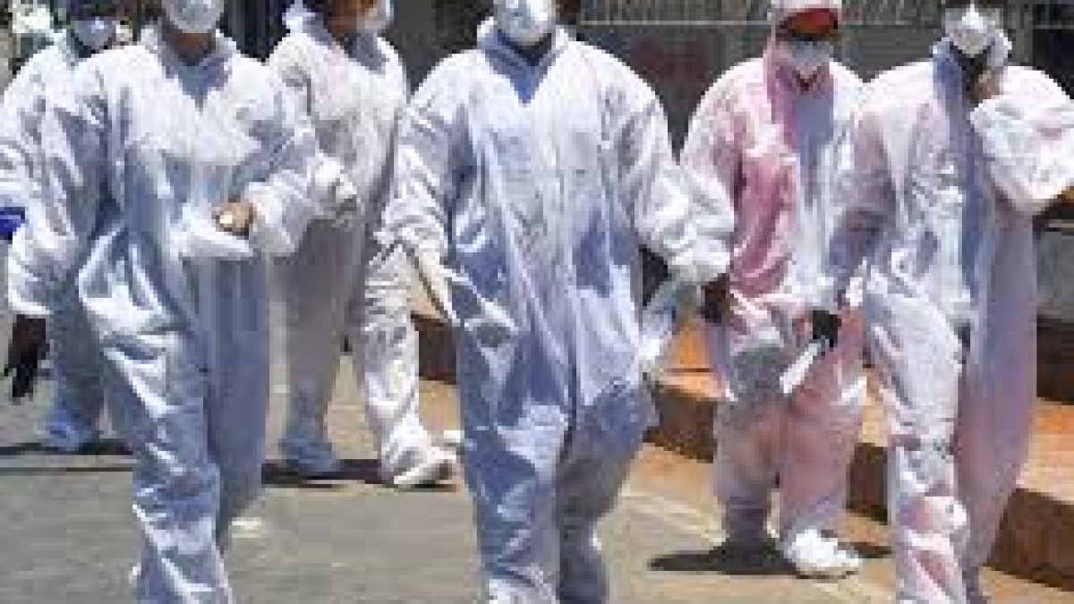 REC to provide nutritious meals to frontline healthcare workers