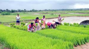 Telangana Plans Farm Loan Waiver Scheme