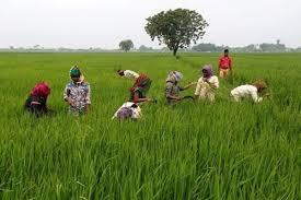 Uttarakhand Kisan Pension Yojana