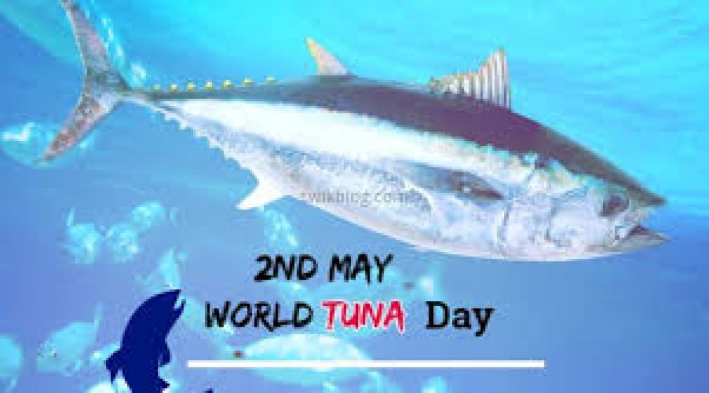 World Tuna Day 2020