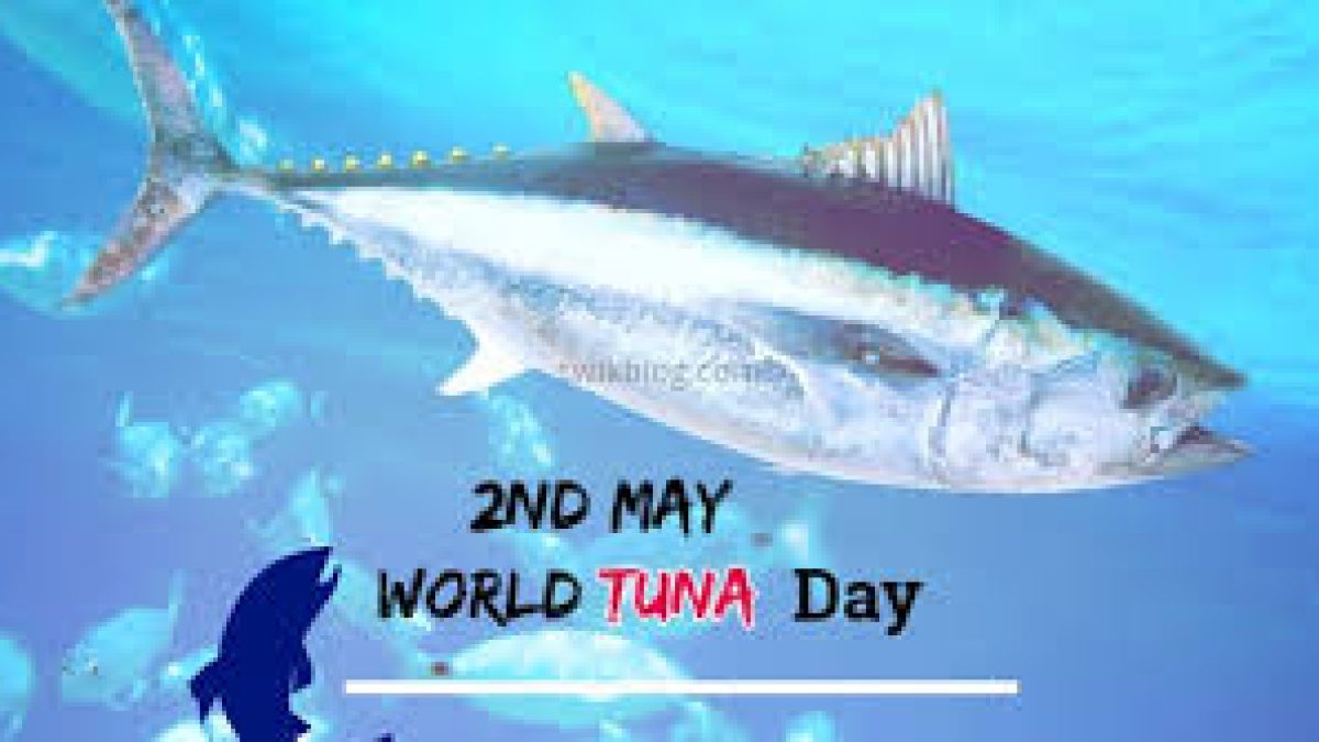 World Tuna Day 2020