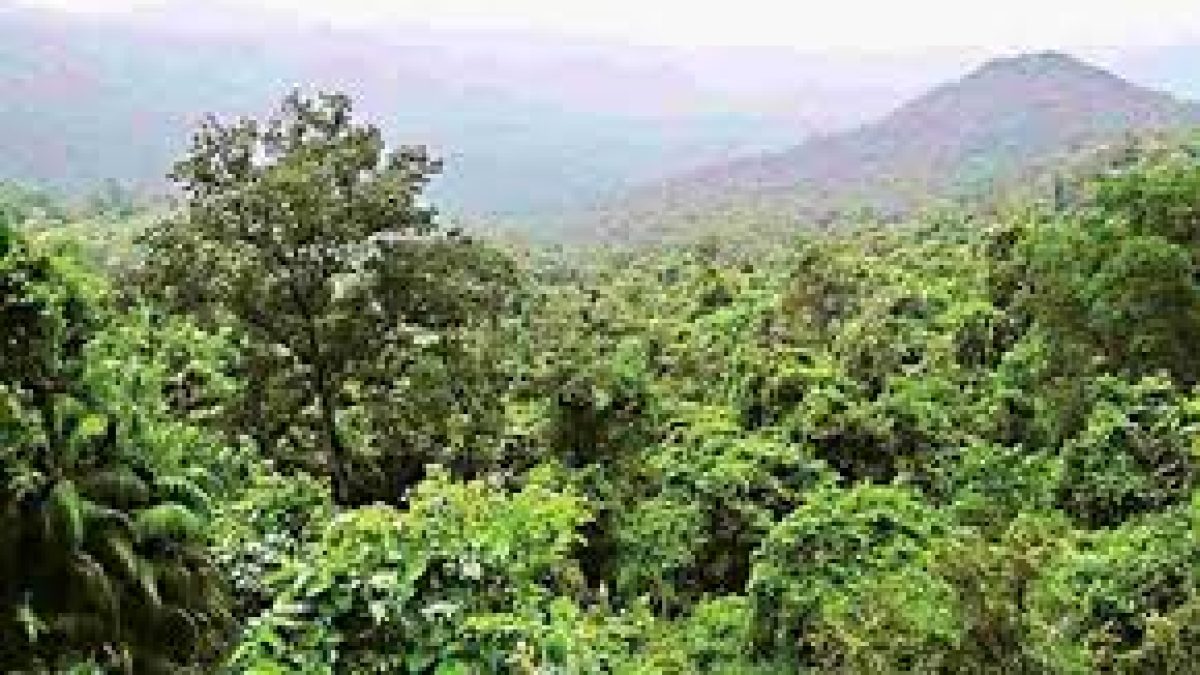 Deemed Forests in Karnataka