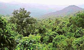 Deemed Forests in Karnataka