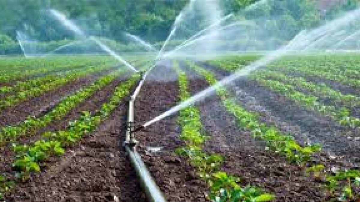 NABARD release interest sub-vented loan from Micro-Irrigation Fund