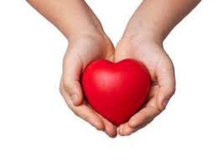 National Organ Donation Day 2020