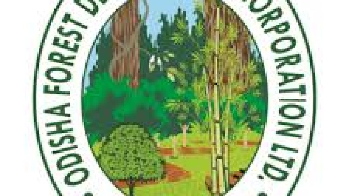 OFDC Recruitment 2020 for 146 Accounts Assistant, Lower Division Assistant & Executive Assistant Vacancy