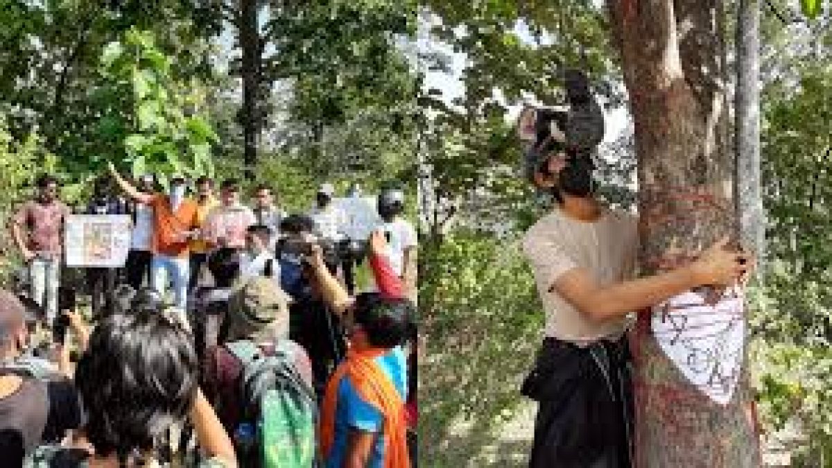 Protests Abound as Uttarakhand Prepares to Slash 10,000 Trees