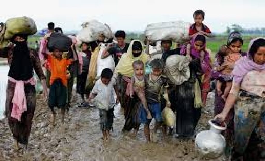 Rohingya Citizenship issue matter of domestic law of 1982