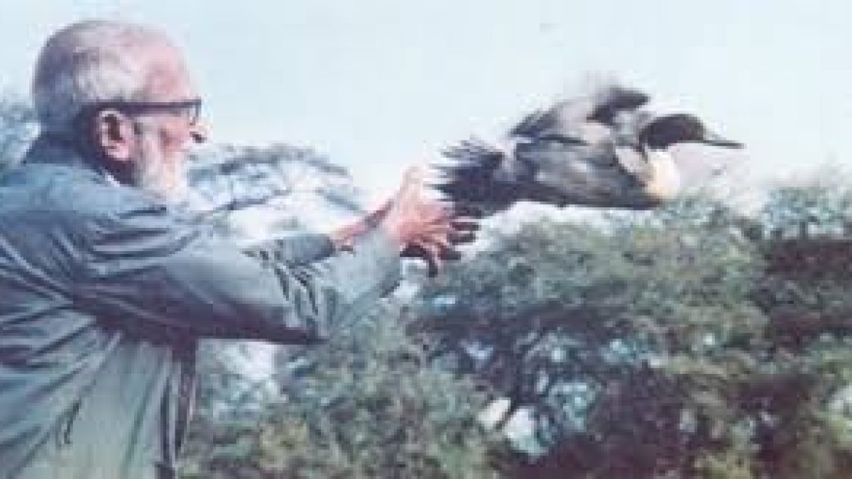 Salim Ali birth anniversary