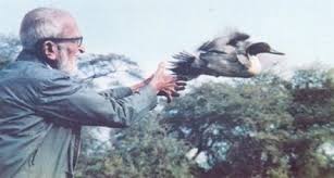 Salim Ali birth anniversary