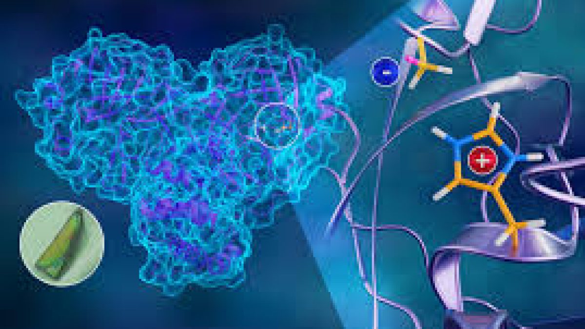 Scientists developed 3D atomic map of novel coronavirus replication mechanism