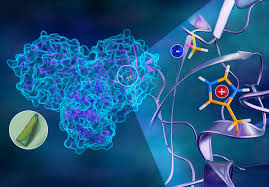 Scientists developed 3D atomic map of novel coronavirus replication mechanism