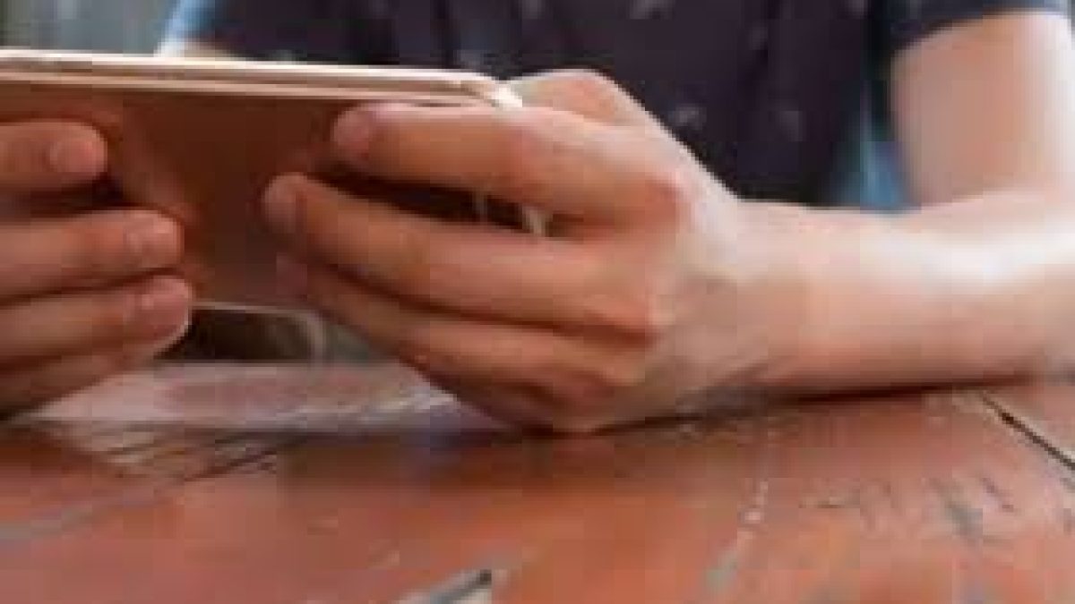 Tamil Nadu bans online gaming