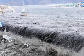 World Tsunami Awareness Day 2020