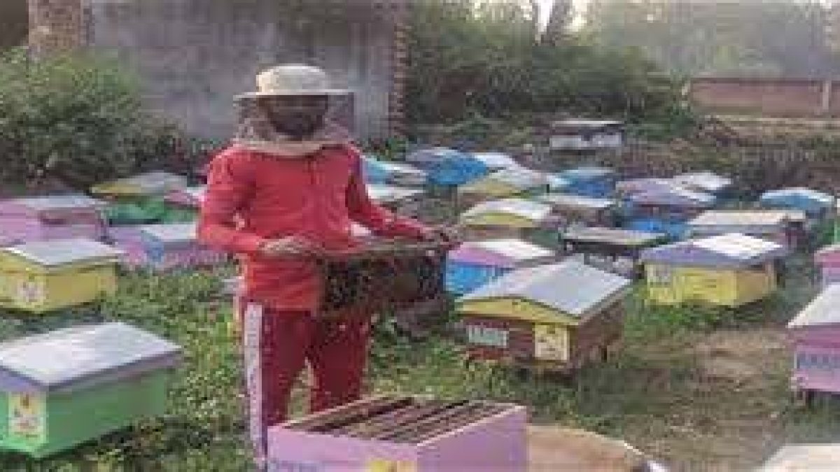 KVIC’s Honey Mission Earns First Income for Migrant Workers