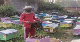 KVIC’s Honey Mission Earns First Income for Migrant Workers