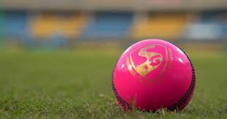 Pink cricket Ball