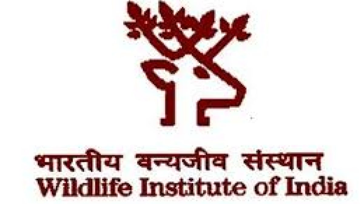 WII Recruitment 2020 for 02 Technical Assistant Vacancy