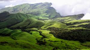 Western Ghats grasslands