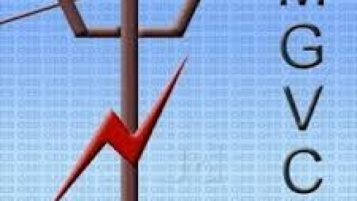 MGVCL Recruitment 2021 for 22 Vidyut Sahayak Vacancy