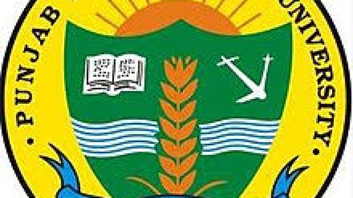 PAU Recruitment 2021 for Senior Technical Assistant Vacancy