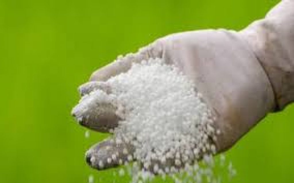 CCEA approves grant of ₹100 crore to Brahmaputra Valley Fertilizer Corporation