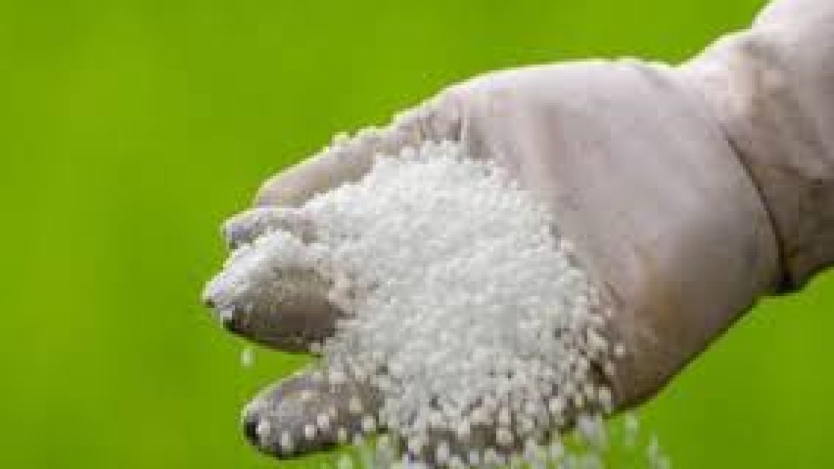 CCEA approves grant of ₹100 crore to Brahmaputra Valley Fertilizer Corporation