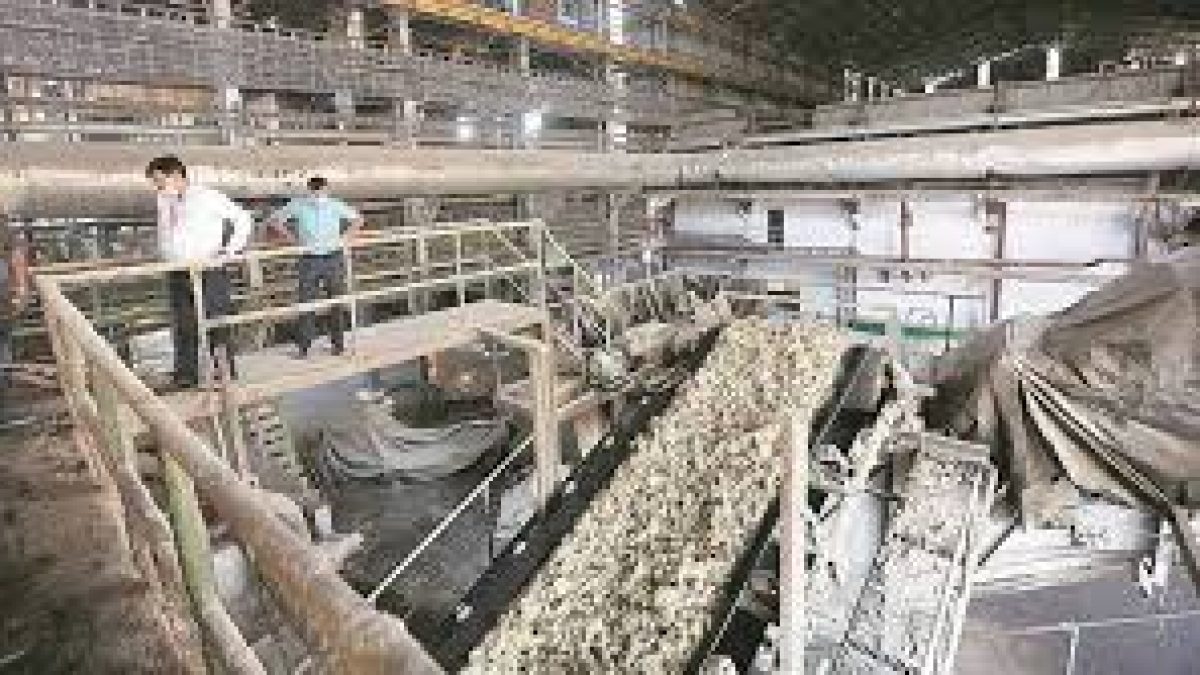 Central government issues MSP guidelines for sugar mills