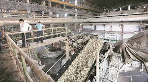 Central government issues MSP guidelines for sugar mills