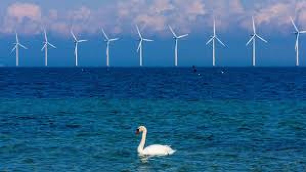 Denmark Will Build Artificial Island to House Wind Energy Hub