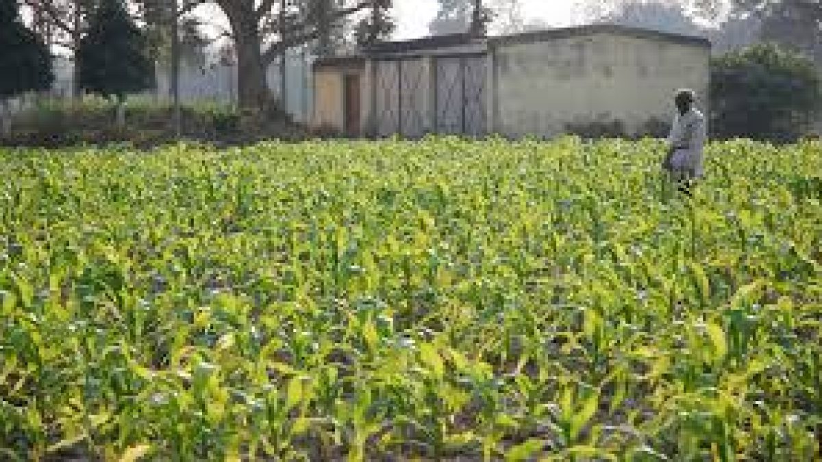 Government initiatives to Promote Farm Mechanization