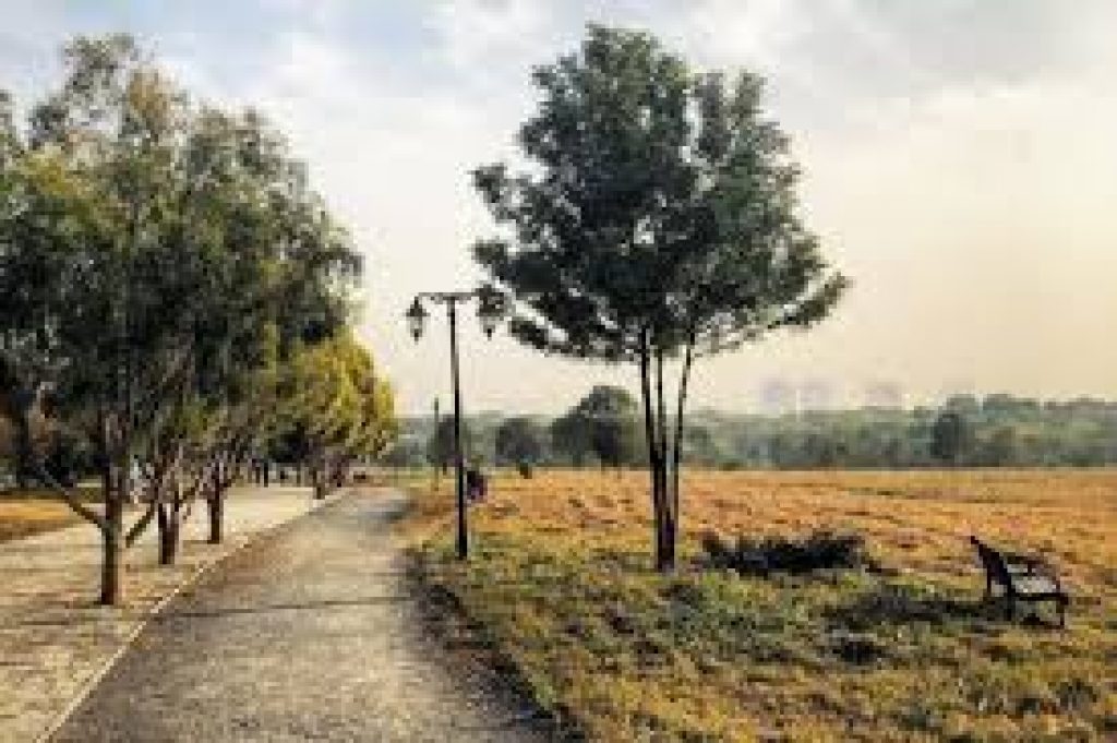 Hyderabad wins ‘Tree Cities of the World’ title