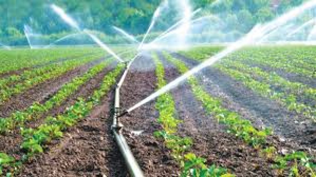 Micro Irrigation Fund (MIF) has been created under NABARD