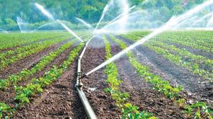 Micro Irrigation Fund (MIF) has been created under NABARD