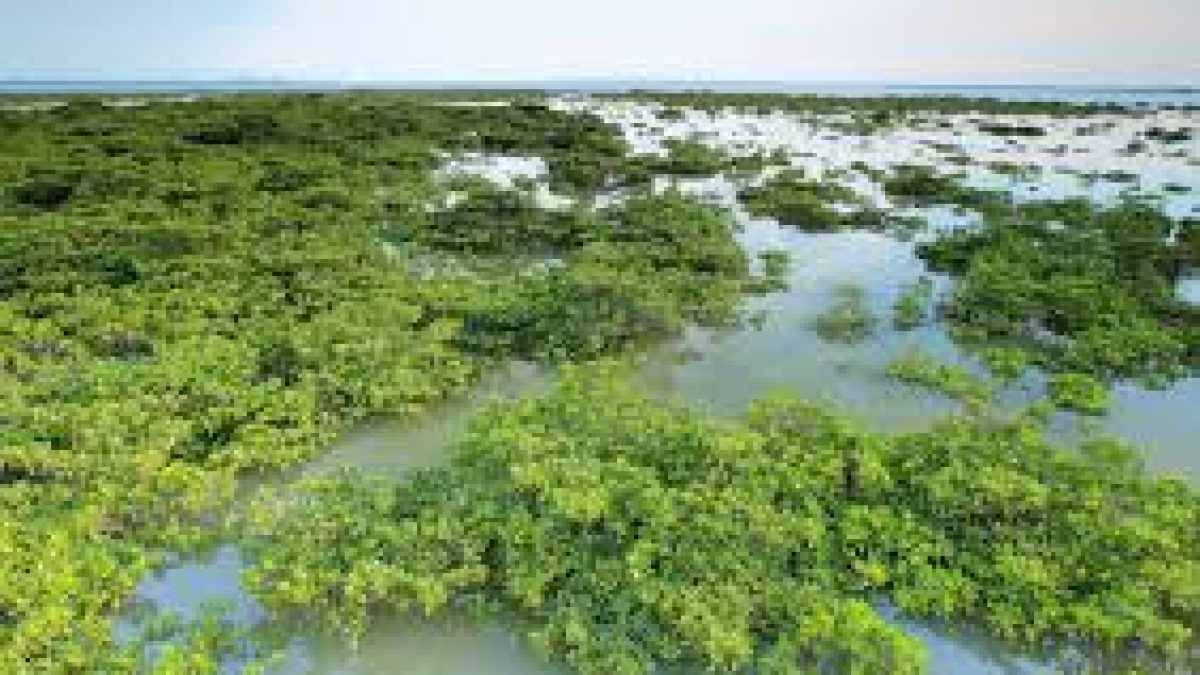 World Wetlands Day 2021