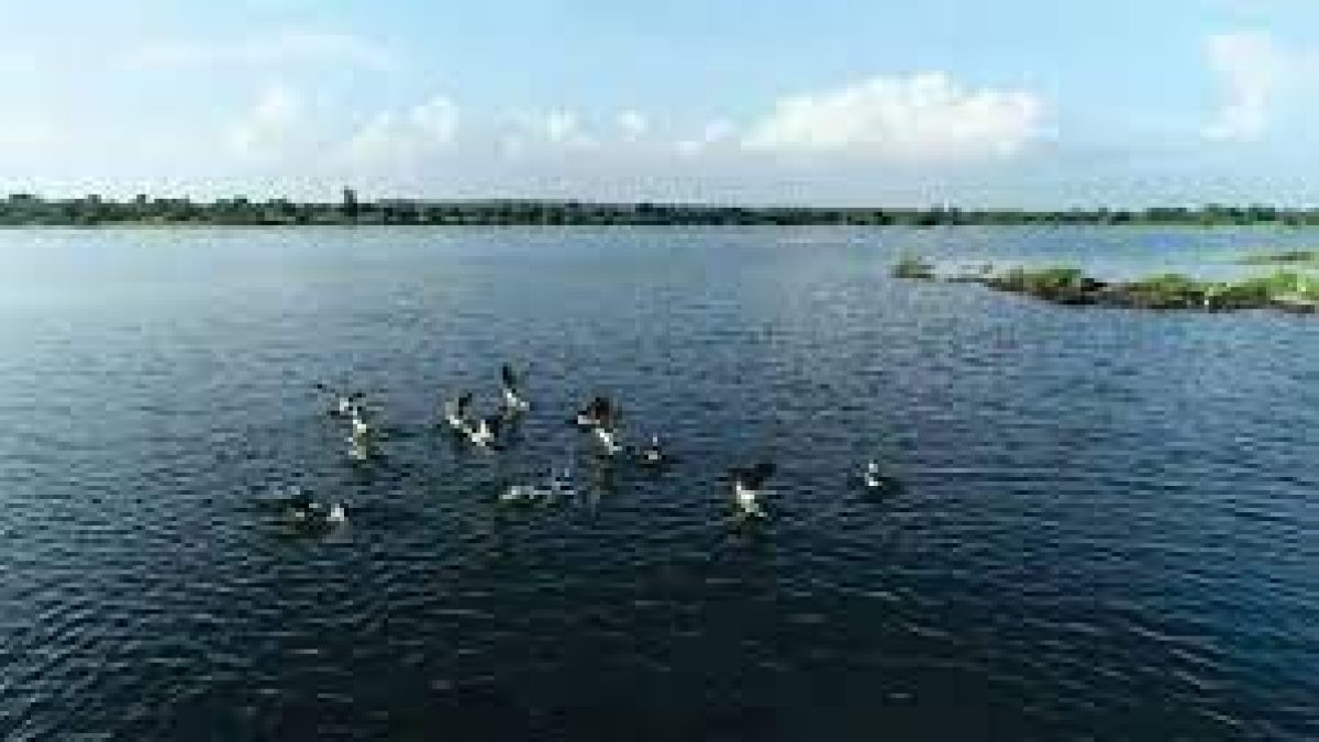 'Buldhana Pattern' for Water Conservation