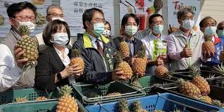 China-Taiwan clash kicked off the Freedom Pineapple campaign